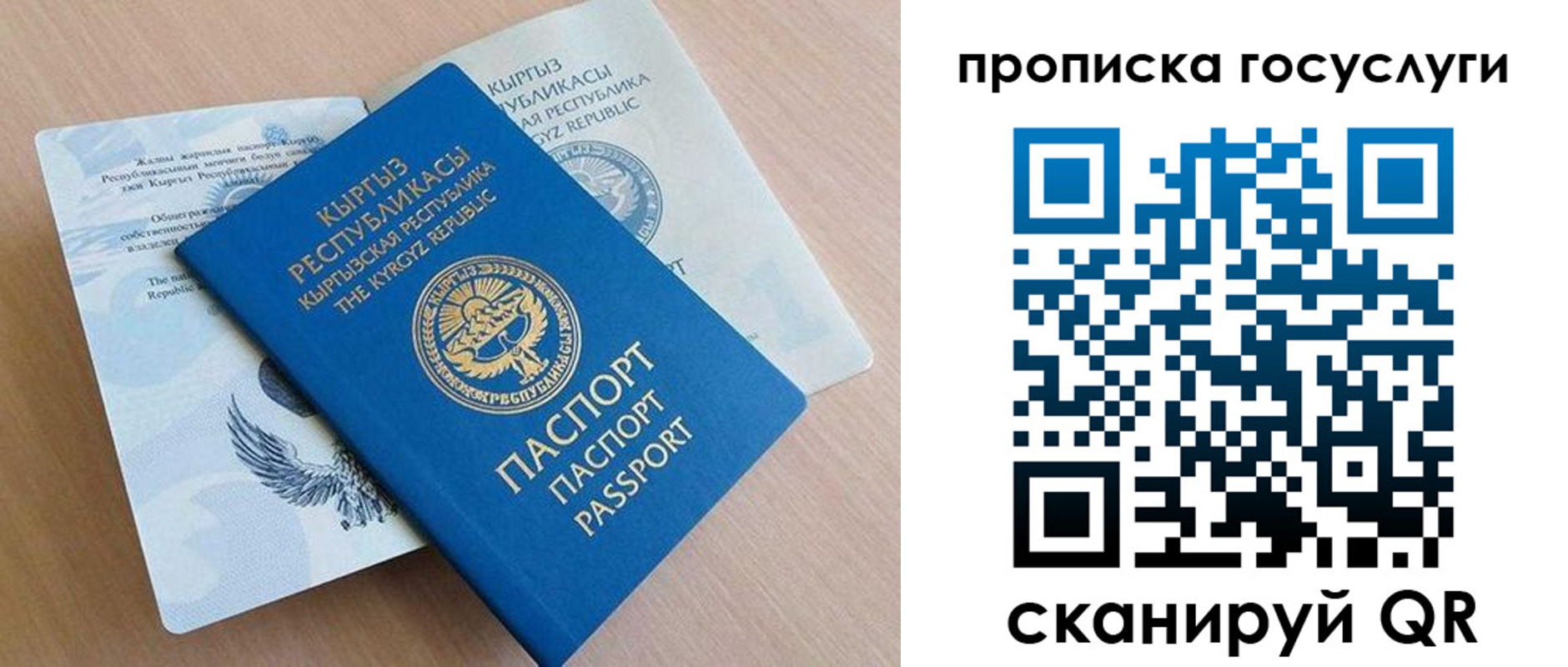 прописка 2025 в Грозном